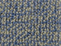 Grey : Blue carpet.jpg
