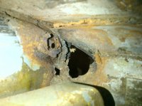 IMG-20120404-00270.jpg