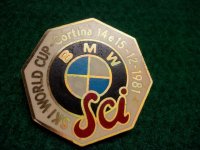 Cortina ski pin badge.jpg